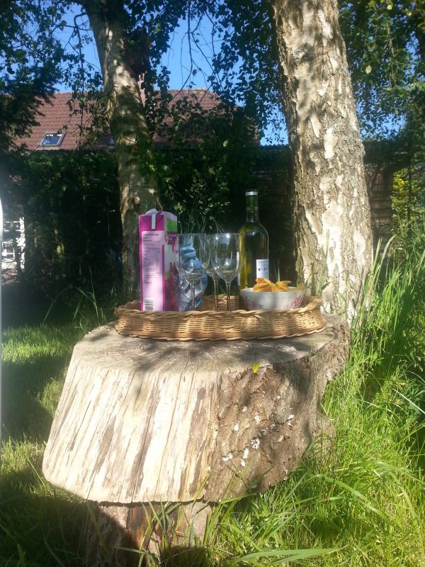 ontspannen genieten in de tuin